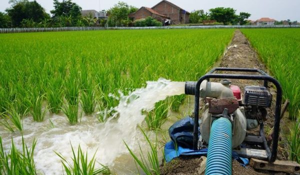 troubleshooting common water pump problems and solutions